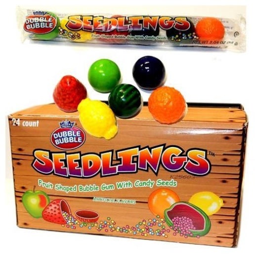 Dubble Bubble Seedlings 6pc Tube 24ct